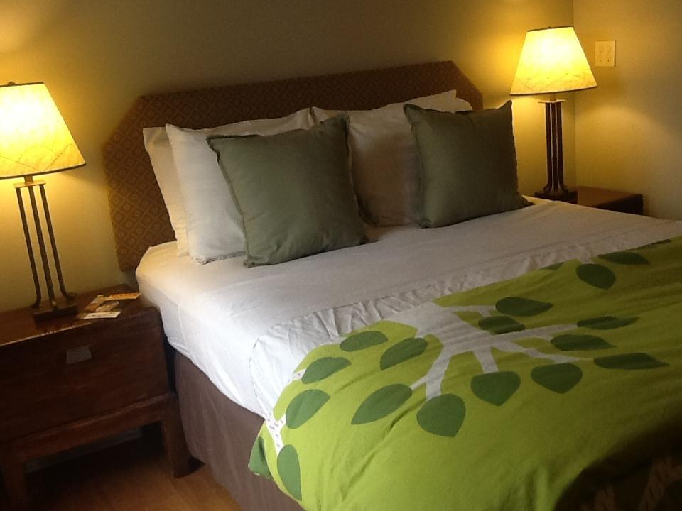 Zenyard Guest House Phoenix Rom bilde